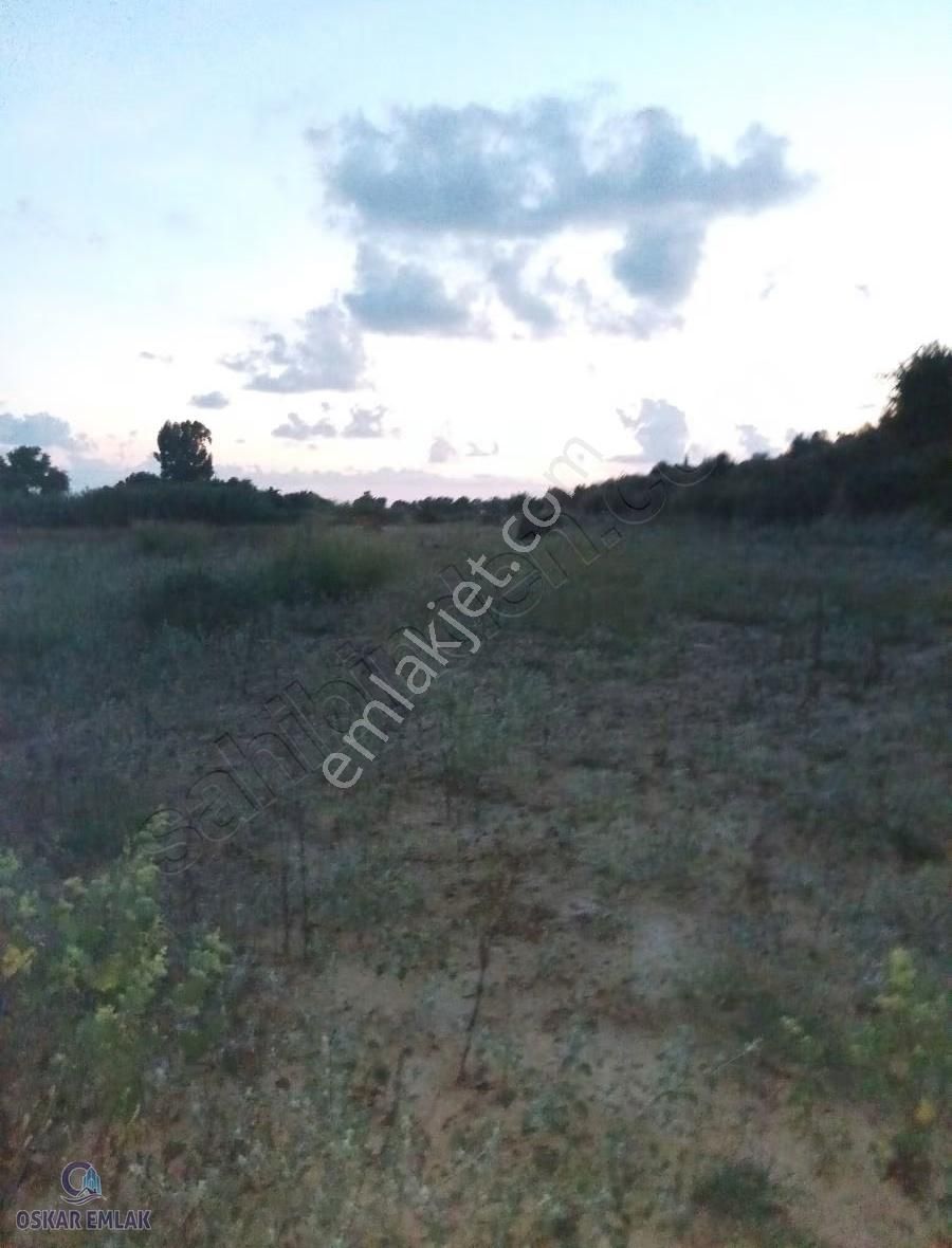 Manavgat Yavrudovandasatılık İsteyene 28.dönüm İsteyene 57.dönüm