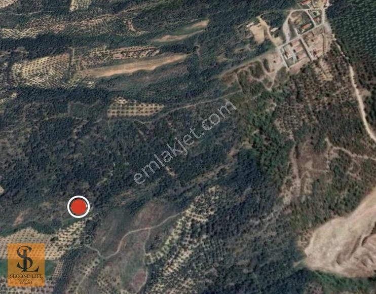 Ayvalık Tıfıllarda 480m2 Doğa Manzaralı Arsa - Görsel 4