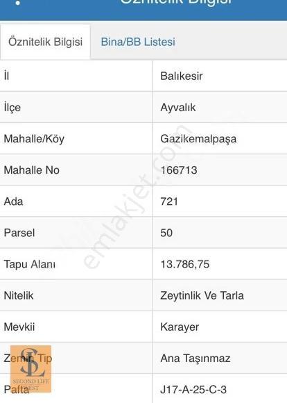 Ayvalık'ta Yola Cepheli 13.786 M² Tarla & Zeytinlik - Görsel 2