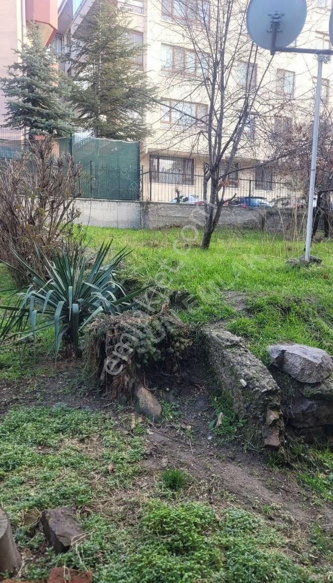 Maltepe'de Ara Katta - Görsel 13