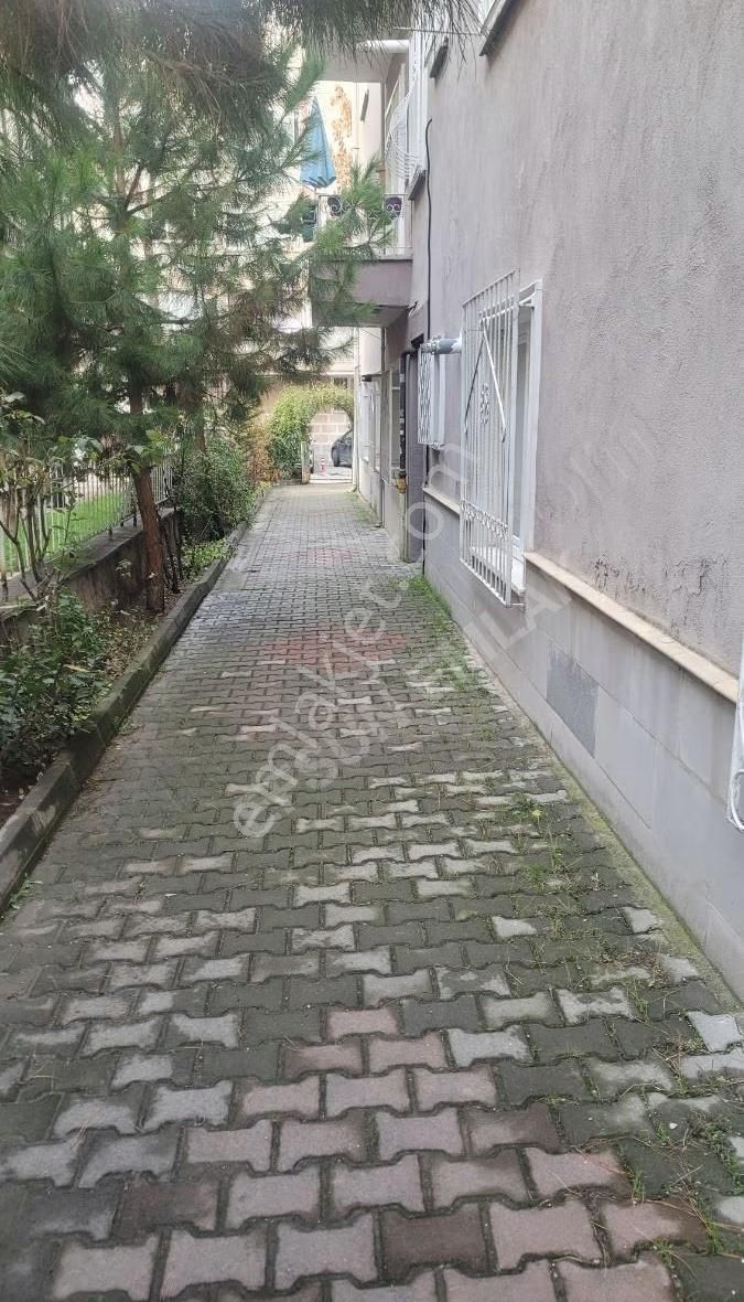 Maltepe'de Ara Katta - Görsel 10