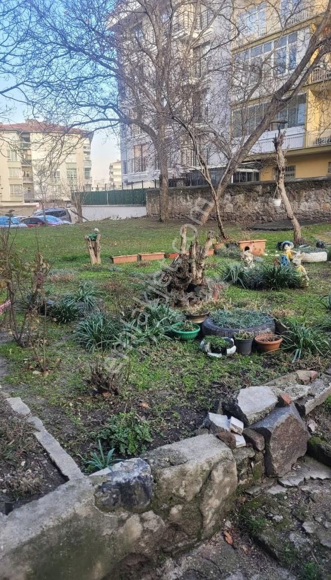 Maltepe'de Ara Katta - Görsel 22