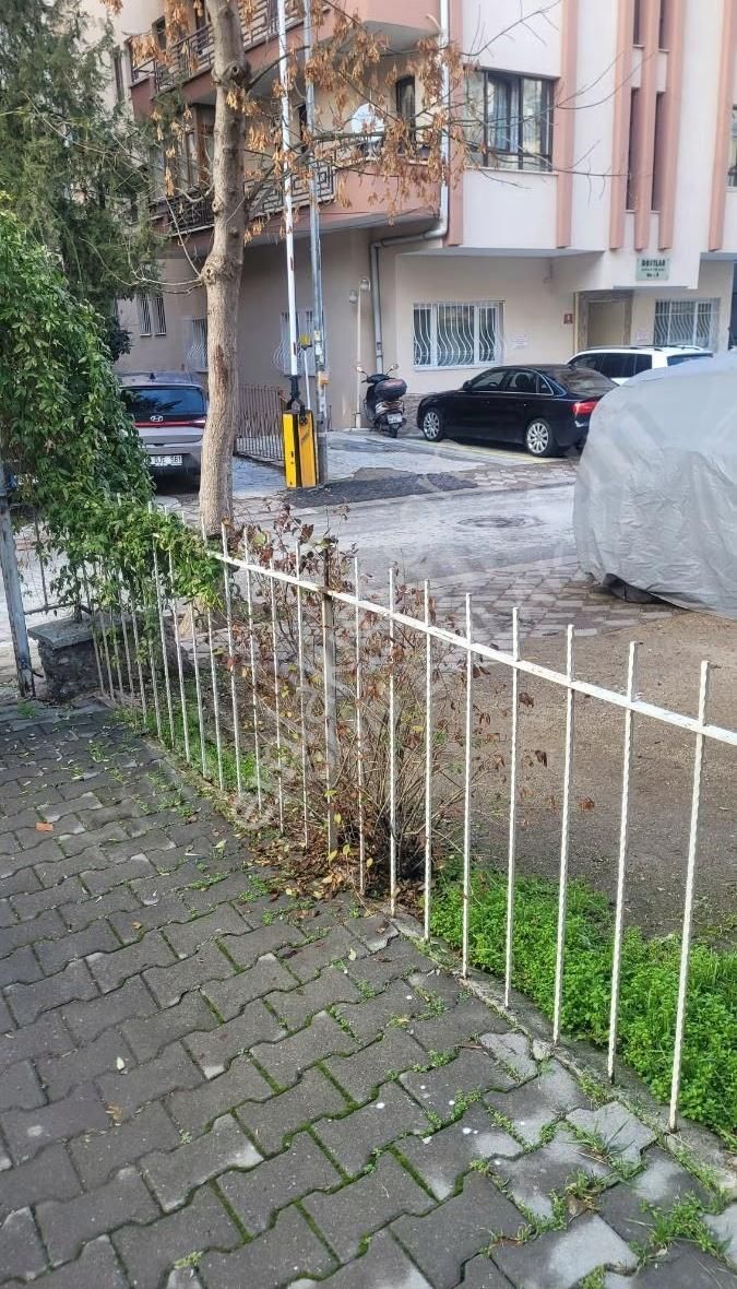 Maltepe'de Ara Katta - Görsel 21