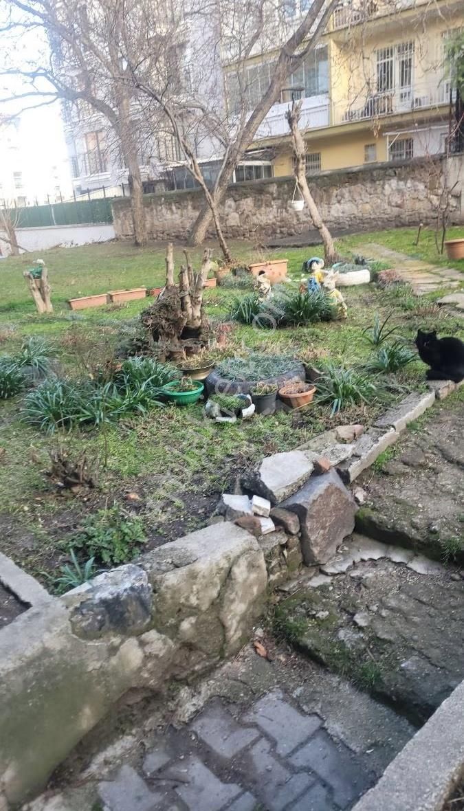 Maltepe'de Ara Katta - Görsel 28