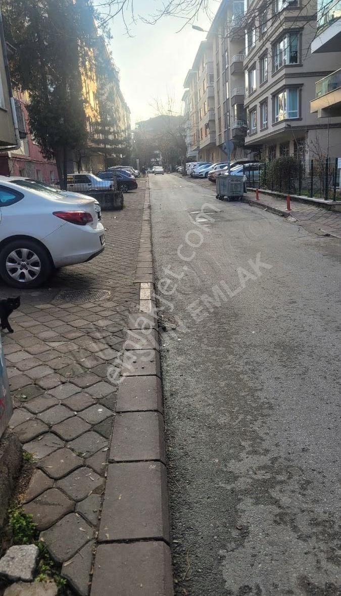 Maltepe'de Ara Katta - Görsel 34