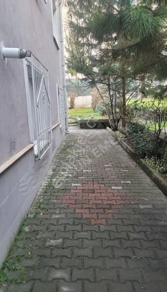 Maltepe'de Ara Katta - Görsel 11