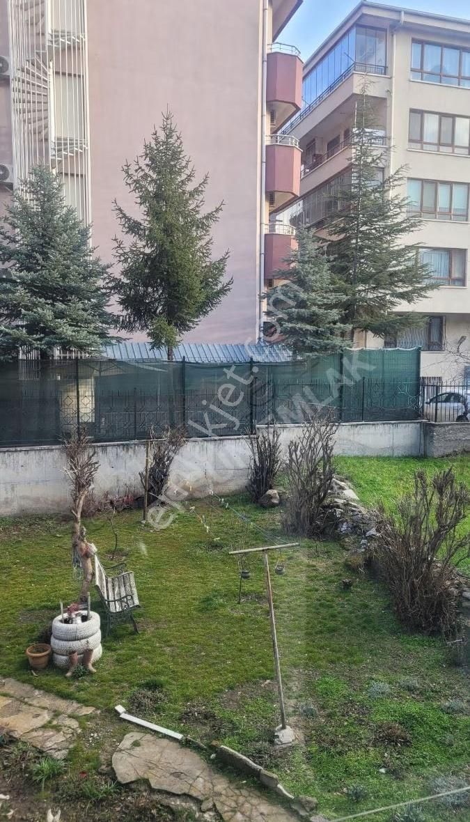 Maltepe'de Ara Katta - Görsel 4