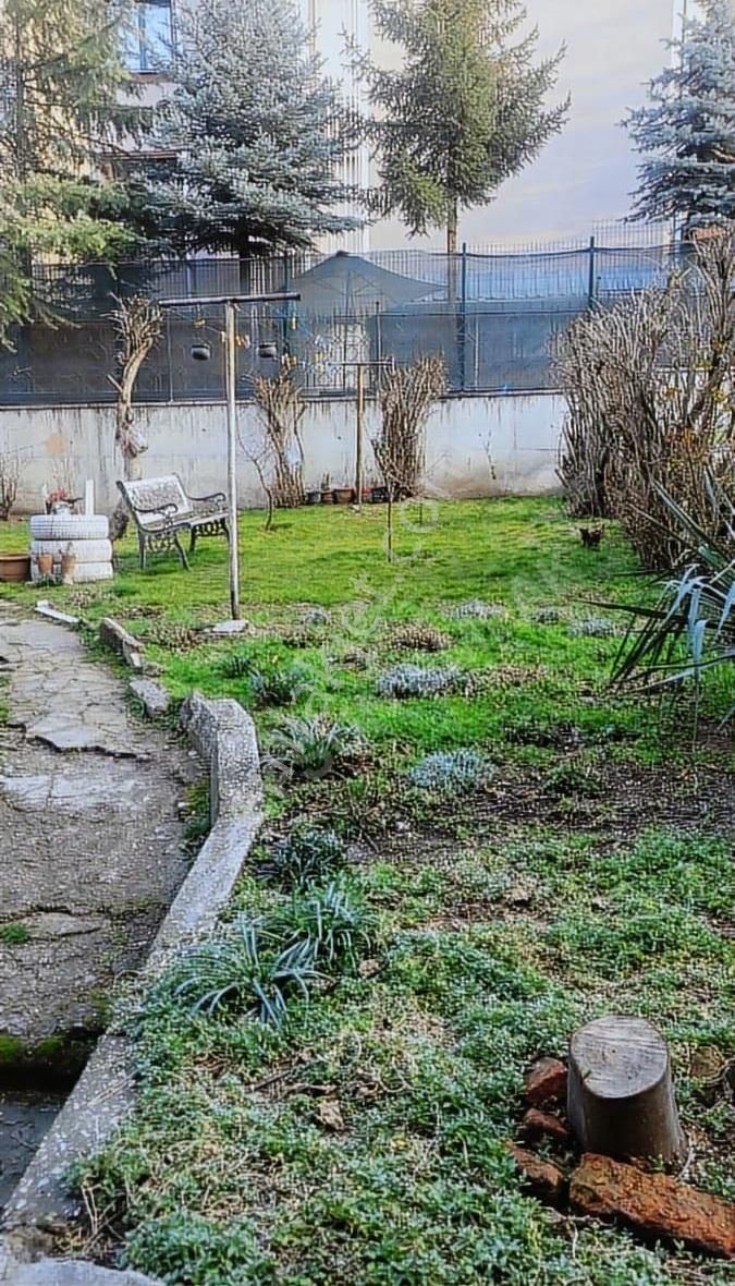 Maltepe'de Ara Katta - Görsel 25