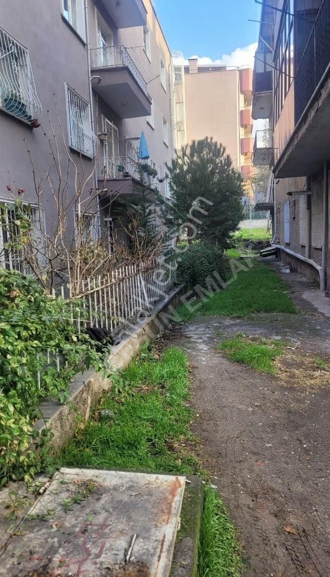 Maltepe'de Ara Katta