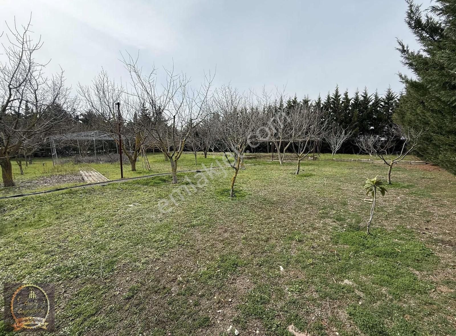 Yenimahalle'de Satılık Çiftlik Evi Ve Yatırımlık Arazi - Görsel 32