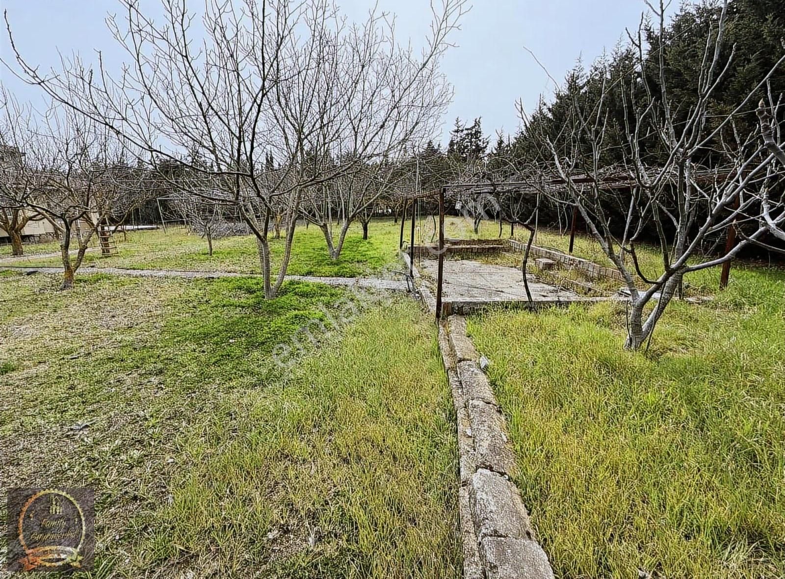 Yenimahalle'de Satılık Çiftlik Evi Ve Yatırımlık Arazi - Görsel 18