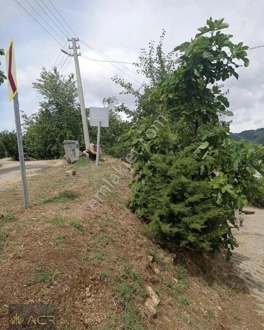Acr Gyd'den Sakarya Süngüt'de Satılık Yola Cepheli Arsa