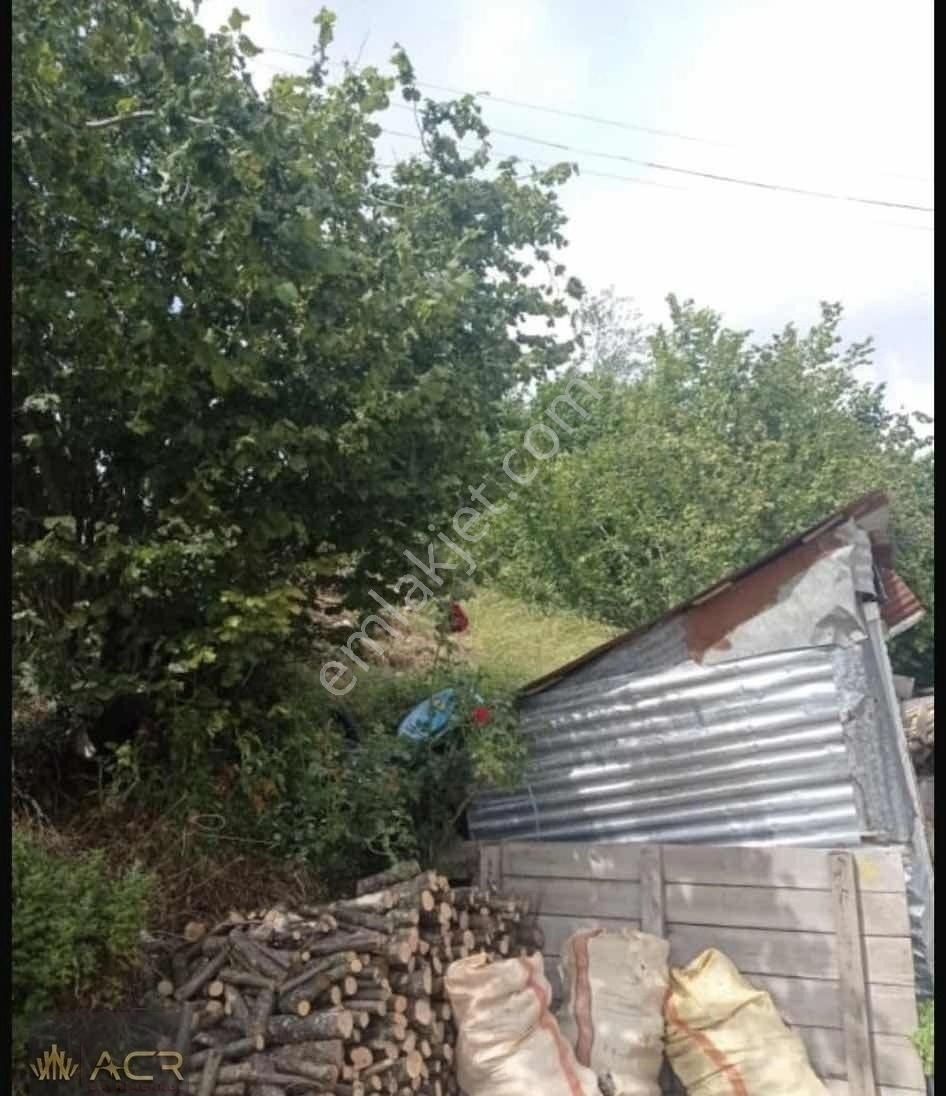 Acr Gyd'den Sakarya Süngüt'de Satılık Yola Cepheli Arsa - Görsel 2