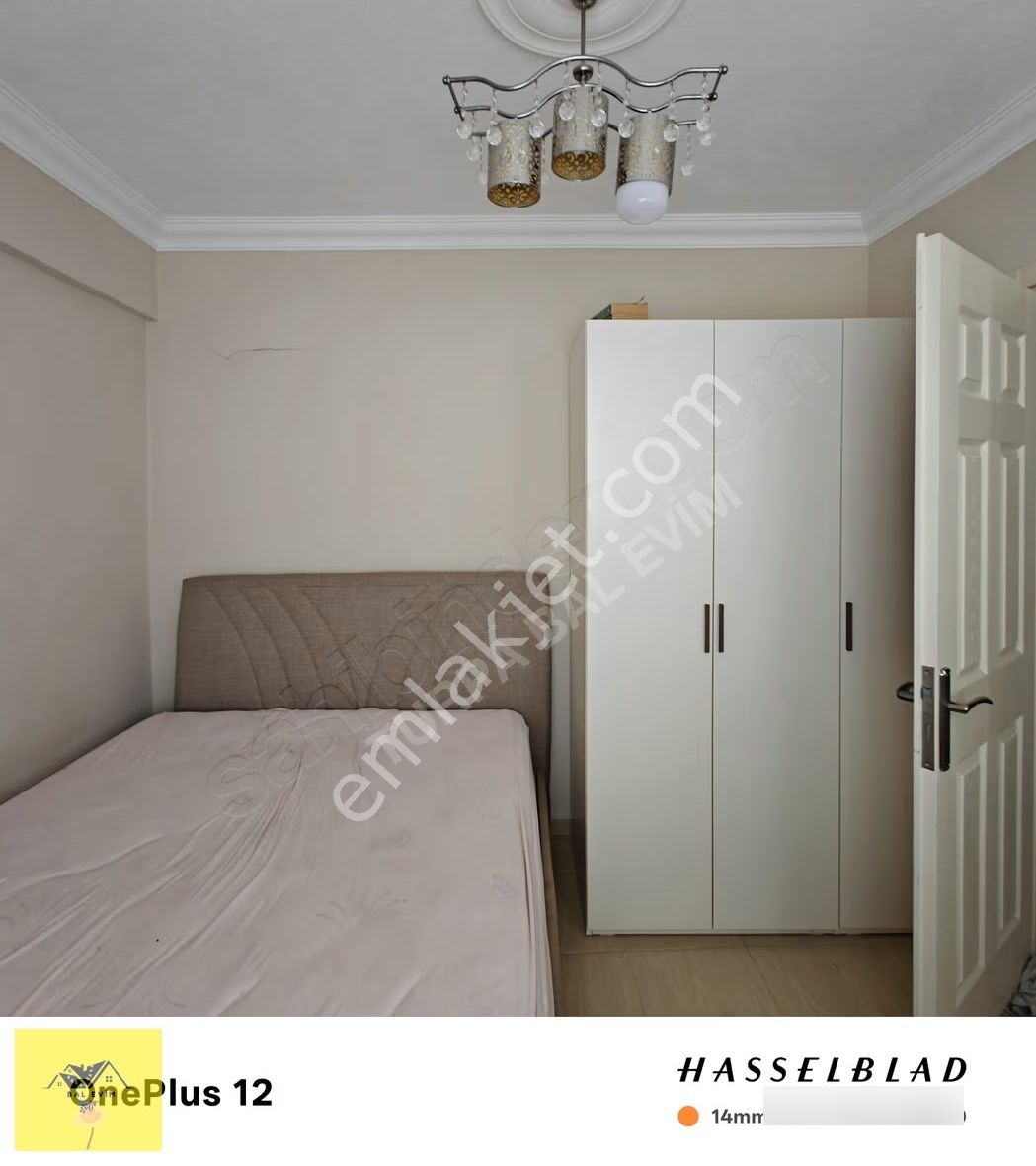 Temiz Bakımlı Masrafsız.. - Görsel 3