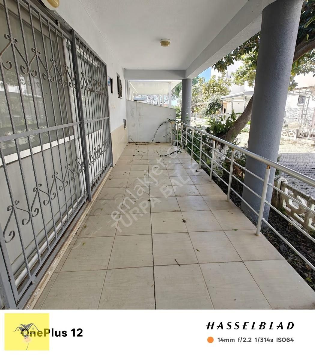 Temiz Bakımlı Masrafsız.. - Görsel 9