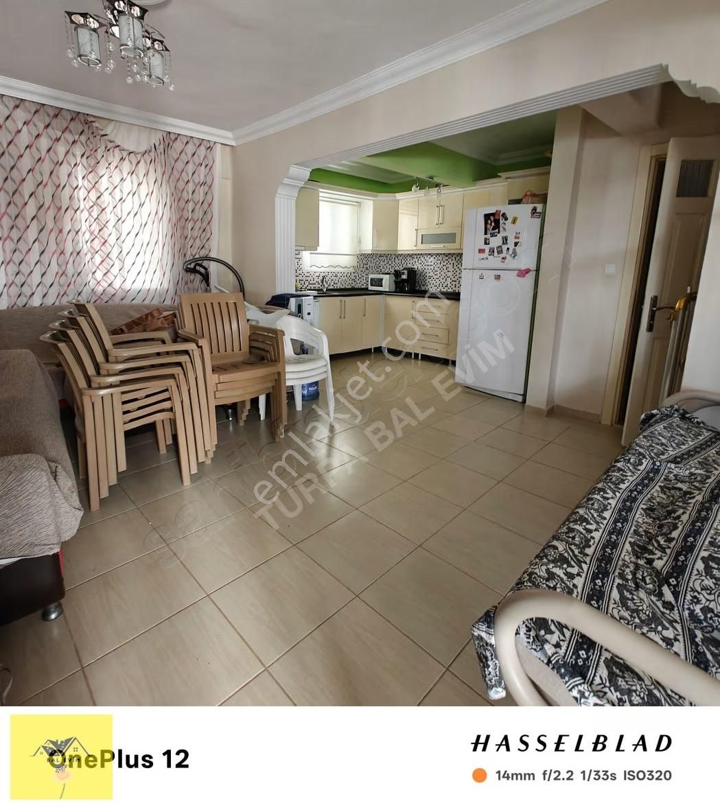 Temiz Bakımlı Masrafsız.. - Görsel 2