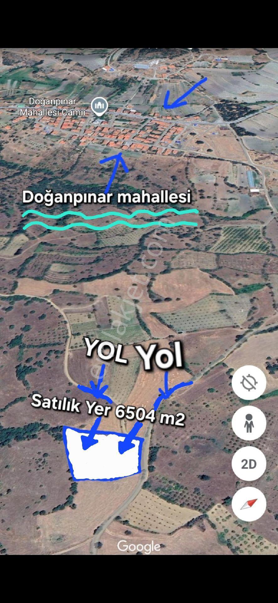 Sahibinden Manisa Doğanpınar'da Çift Resmi Yola Cephe Köye Yakın Su Var 6504 M2