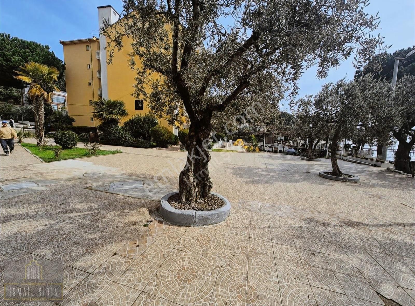 İsmailşirindn Narlı Yolu Üzeri Denize Sıfır Sitede Ara Kat Daire - Görsel 32