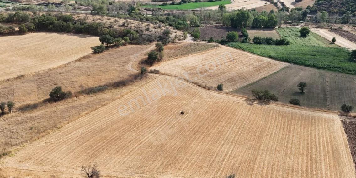 Acil Sahibinden Böylesi Kaçmaz! Organize Sanayi Yanı 7725m2