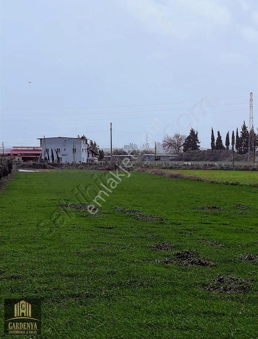 Söke Güllübahçe'de Ana Yola Yakın, 10.830 M² Tarla - Görsel 6