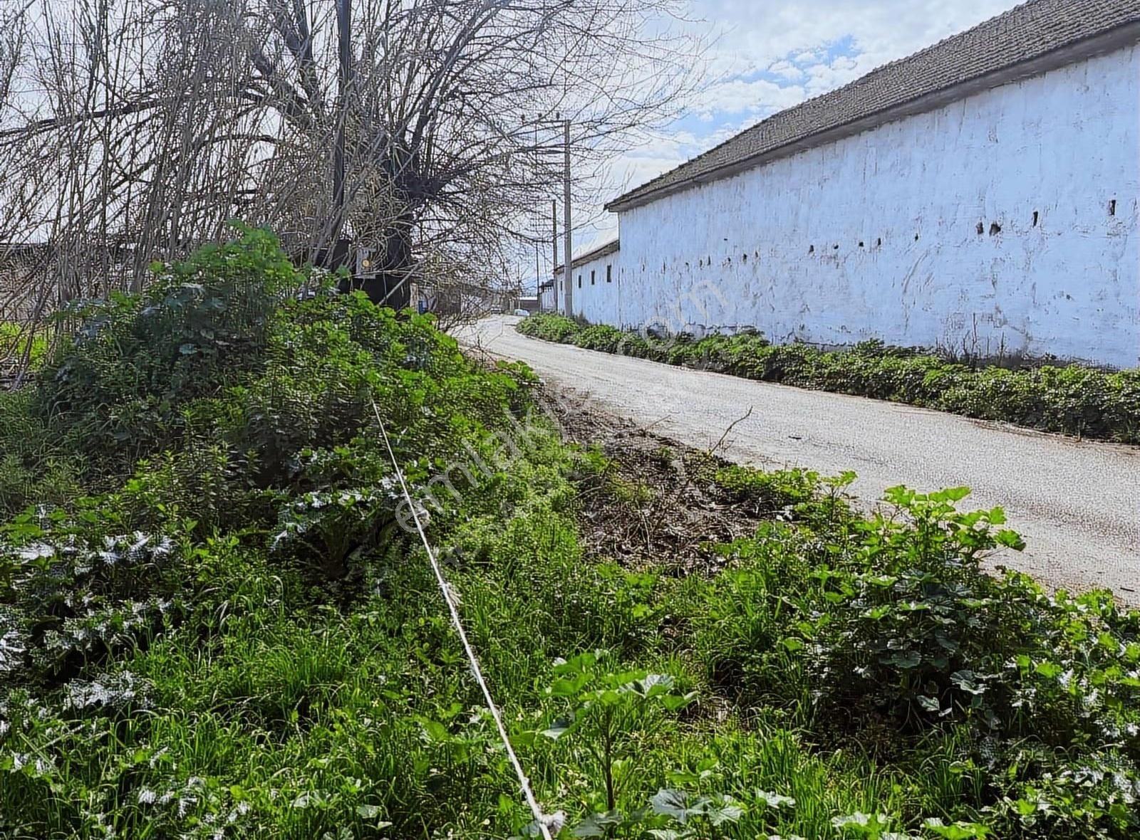 Rosa Gayrimenkul'den Satılık Müstakil Köy Evi Ve Tarla - Görsel 9
