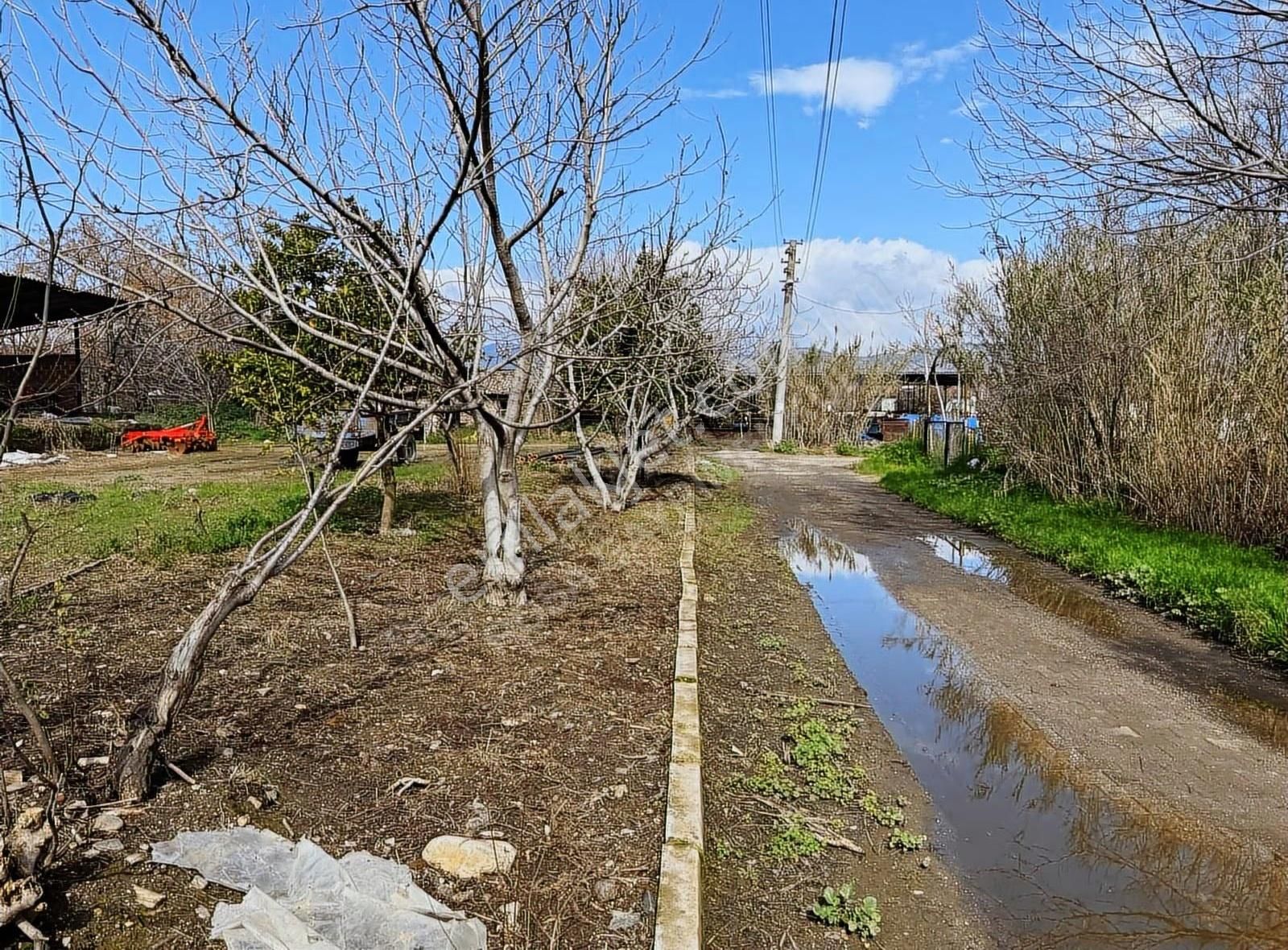 Rosa Gayrimenkul'den Satılık Müstakil Köy Evi Ve Tarla - Görsel 6