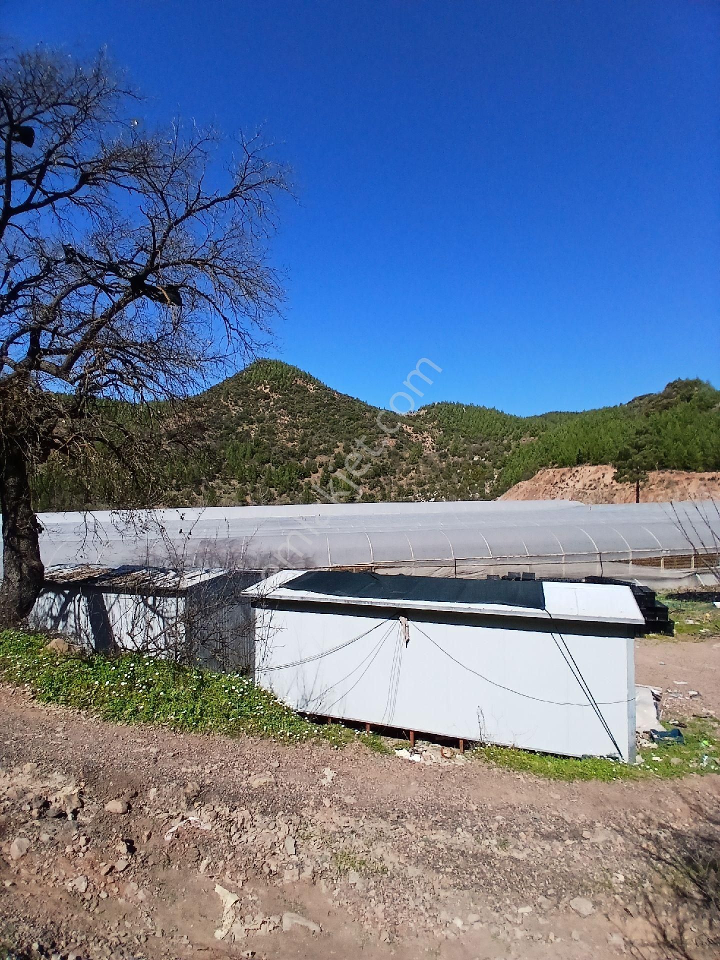 ‼️acil‼️ Satılık Hazır Sera - Görsel 11