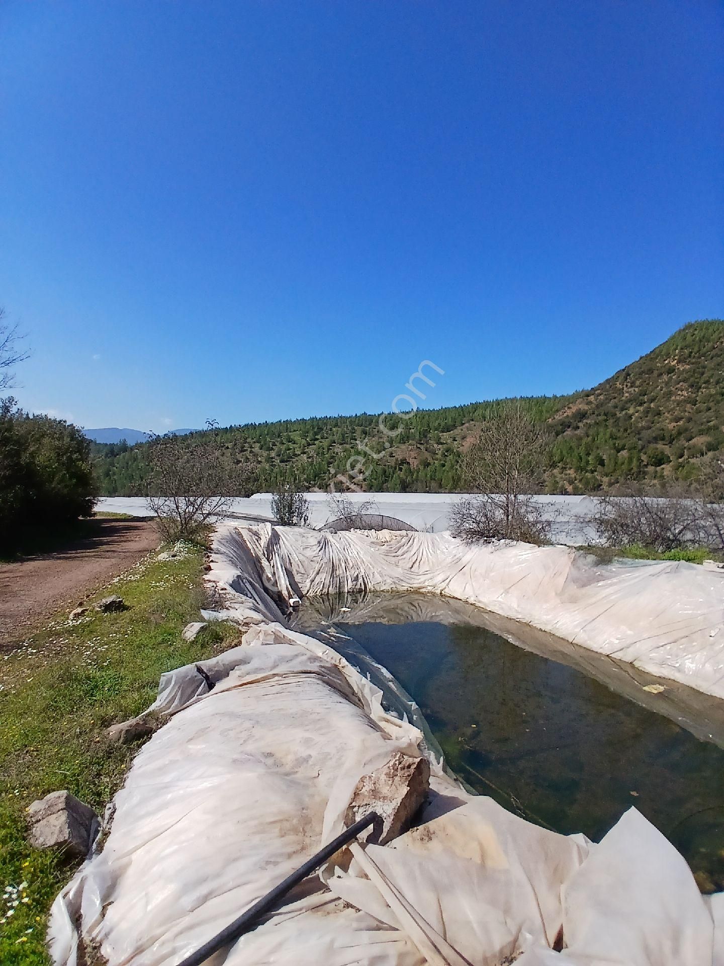 ‼️acil‼️ Satılık Hazır Sera - Görsel 16