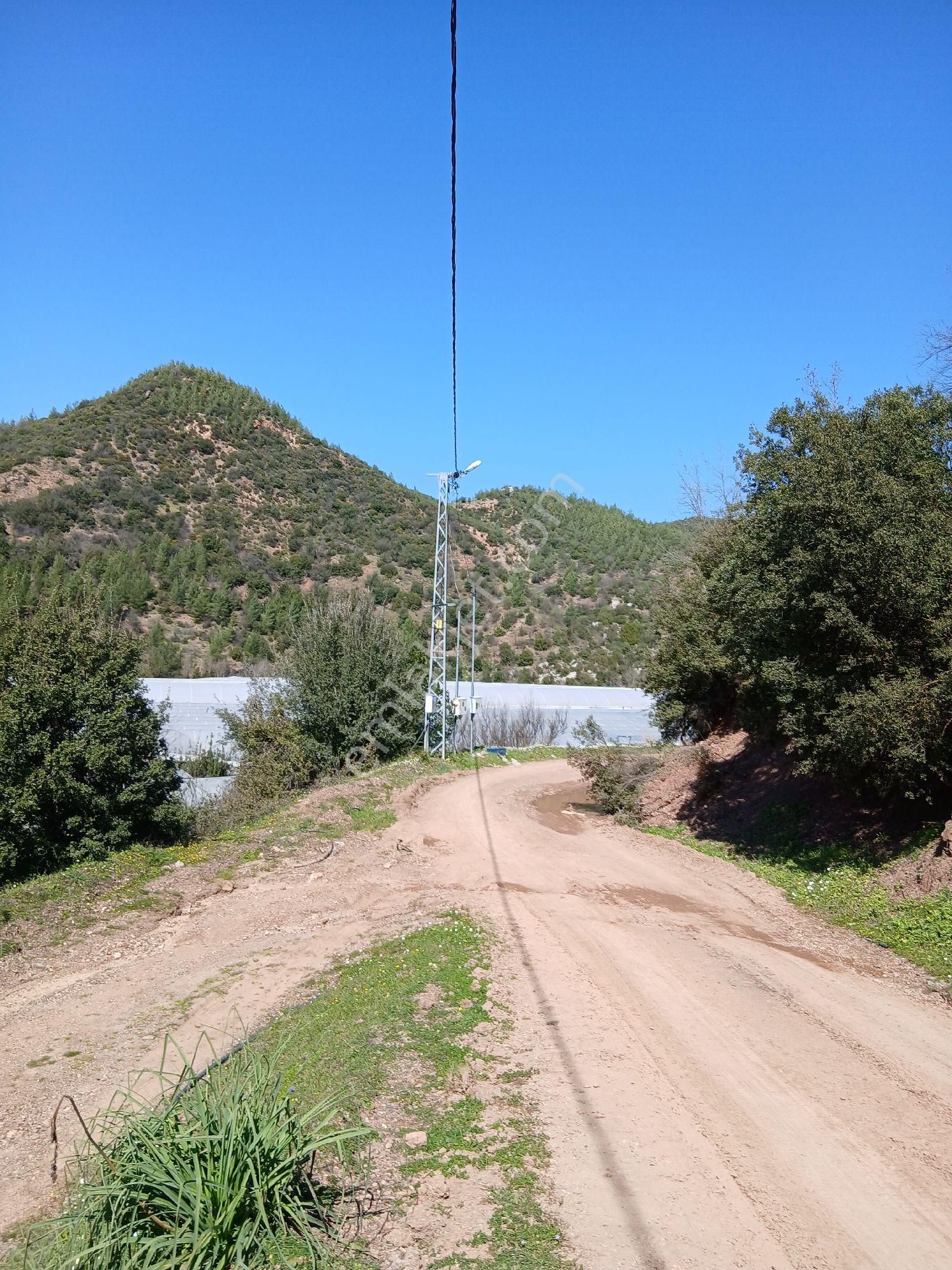 ‼️acil‼️ Satılık Hazır Sera - Görsel 9