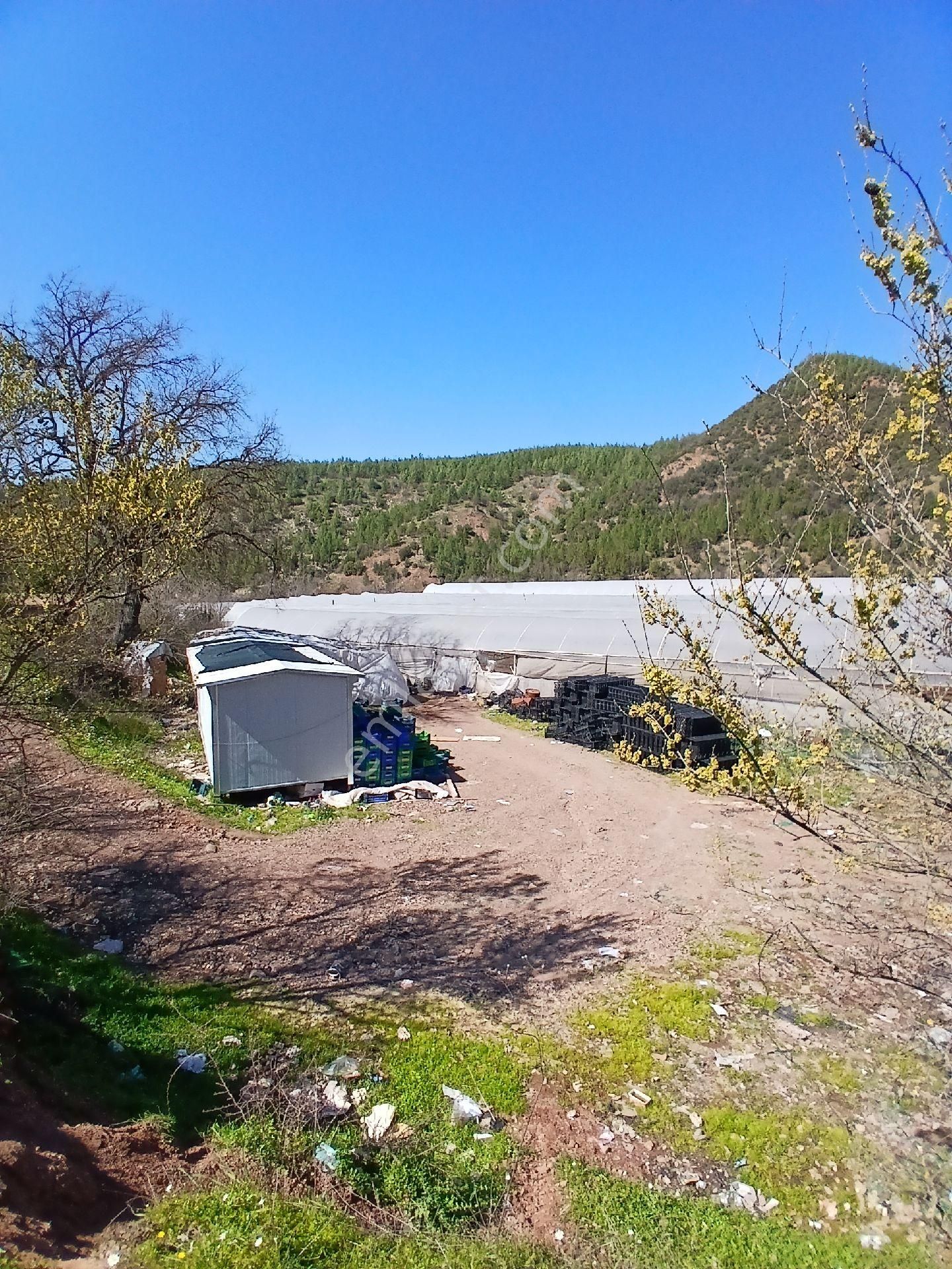 ‼️acil‼️ Satılık Hazır Sera - Görsel 13