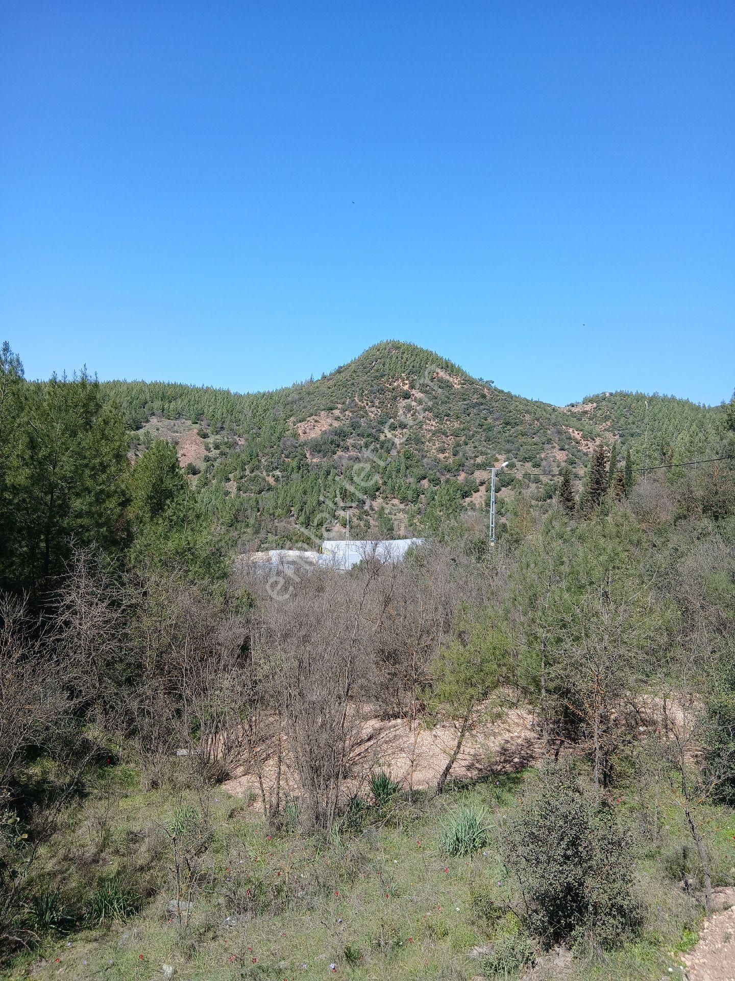 ‼️acil‼️ Satılık Hazır Sera - Görsel 8