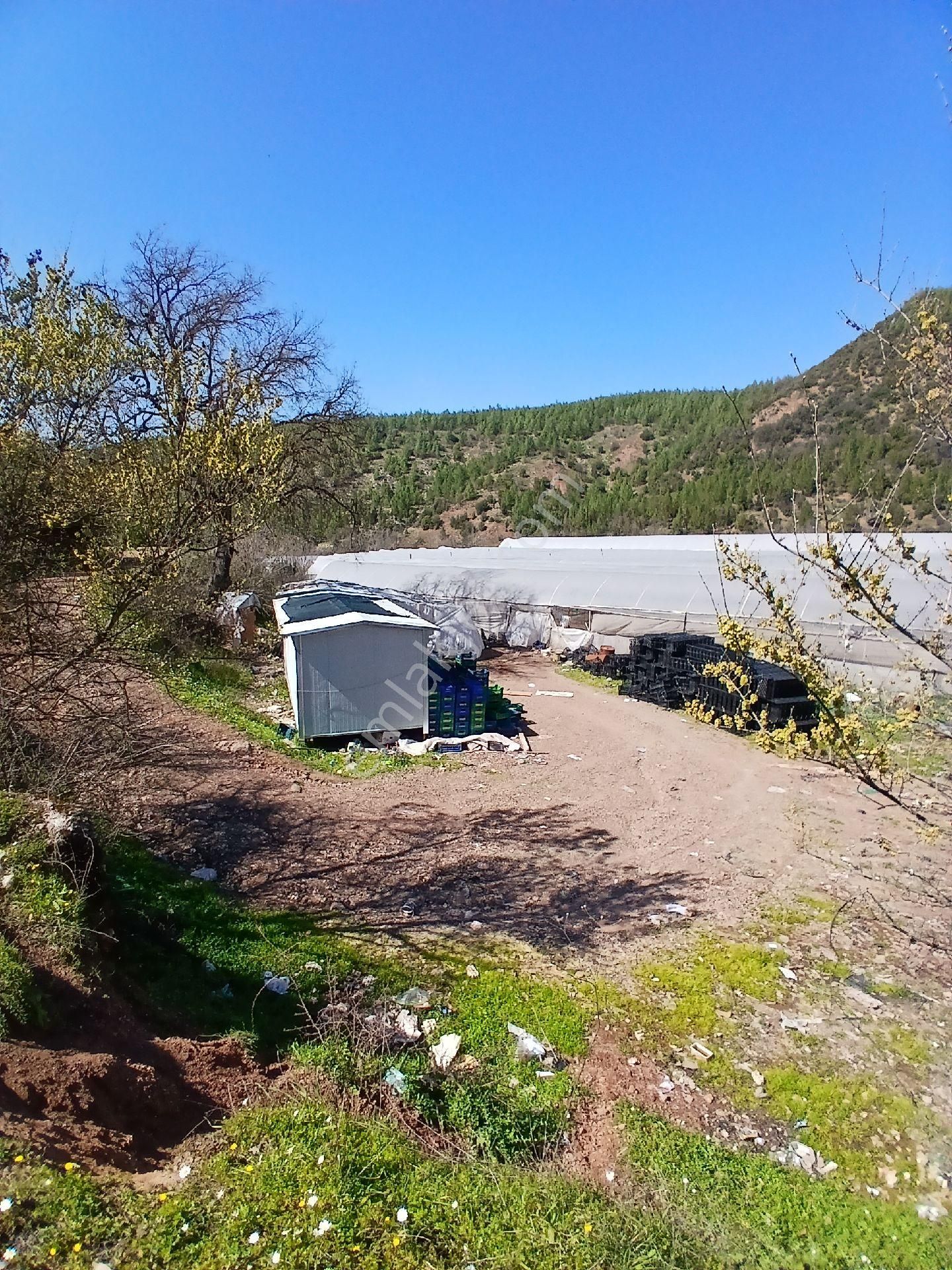 ‼️acil‼️ Satılık Hazır Sera - Görsel 12