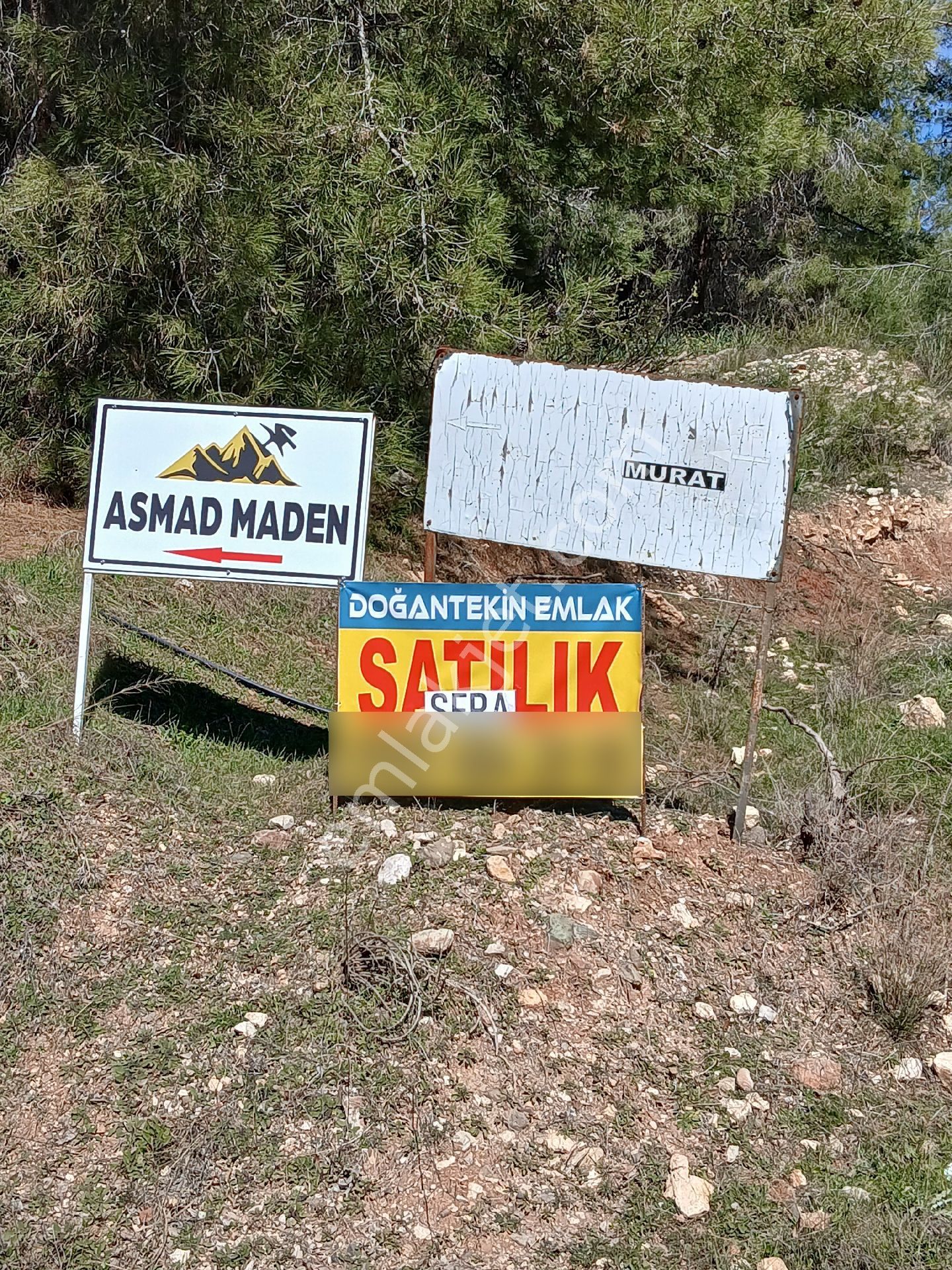 ‼️acil‼️ Satılık Hazır Sera - Görsel 2