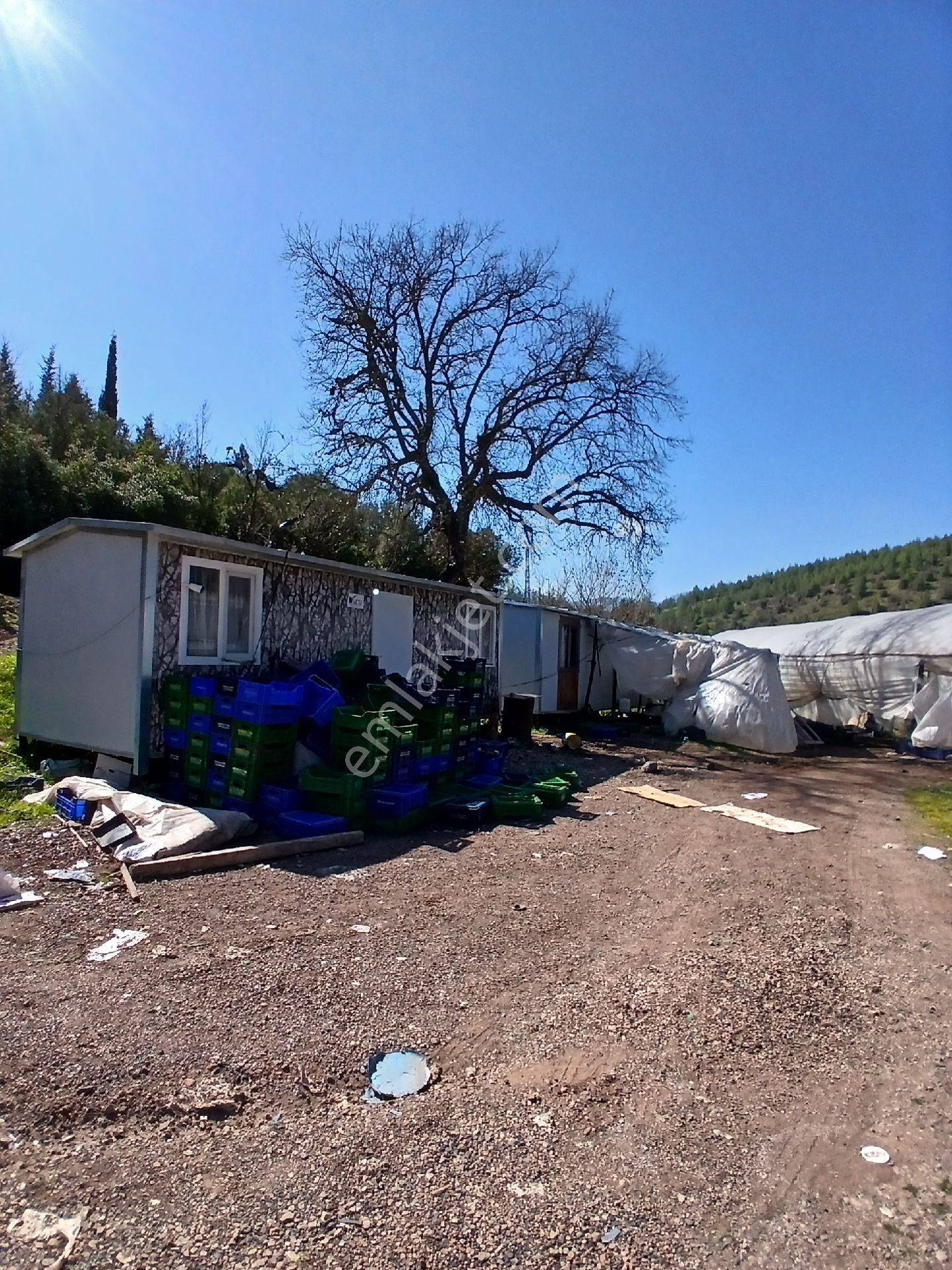 ‼️acil‼️ Satılık Hazır Sera - Görsel 7