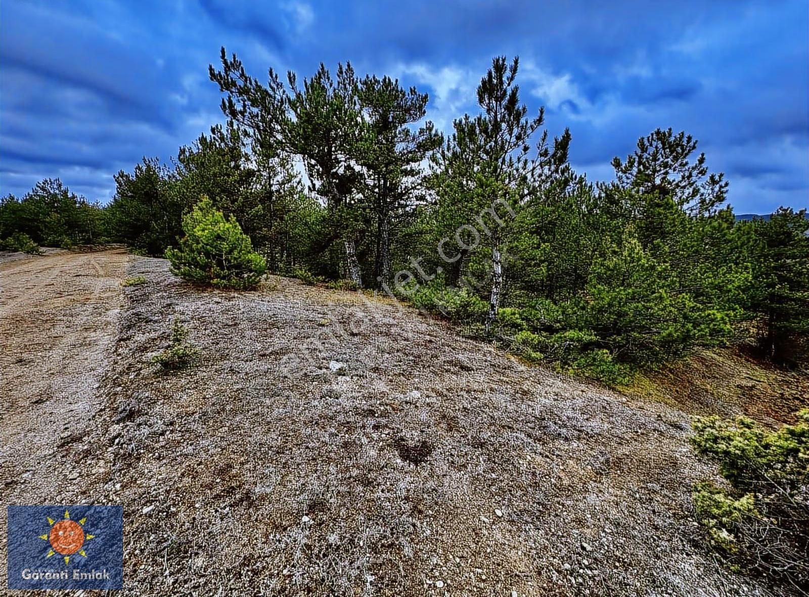 Satılık Saklı Cennet! 7 Dönüm Arazi,3.500 M2'si Özel Çam Ormanlı - Görsel 31