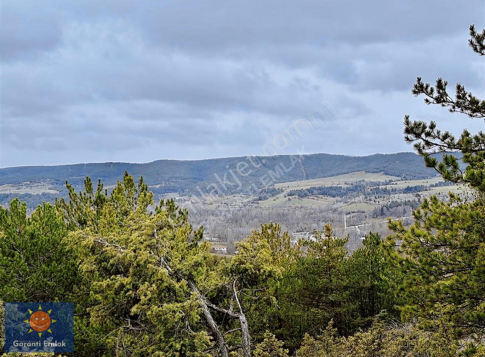 Satılık Saklı Cennet! 7 Dönüm Arazi,3.500 M2'si Özel Çam Ormanlı - Görsel 20