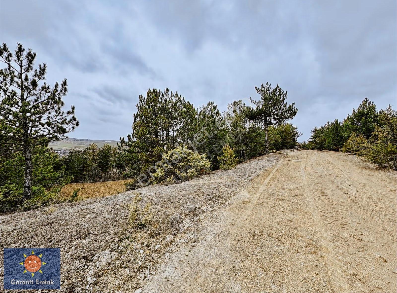 Satılık Saklı Cennet! 7 Dönüm Arazi,3.500 M2'si Özel Çam Ormanlı - Görsel 25