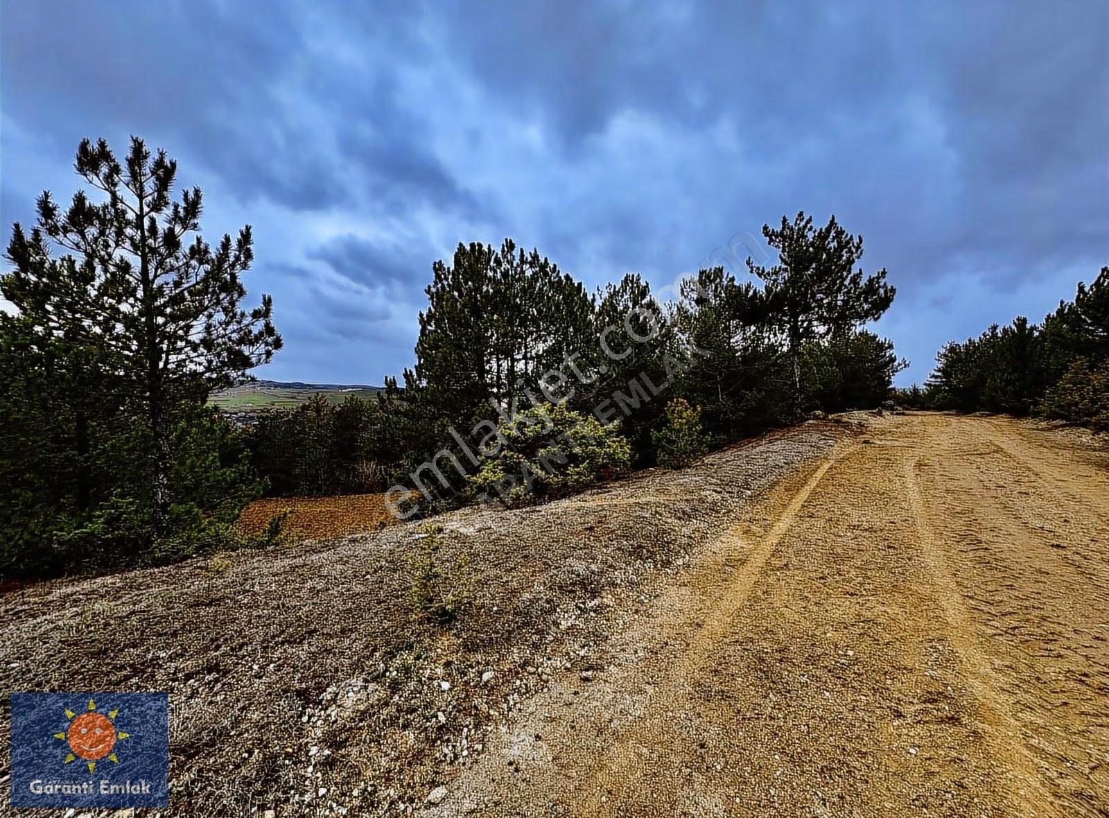 Satılık Saklı Cennet! 7 Dönüm Arazi,3.500 M2'si Özel Çam Ormanlı - Görsel 28