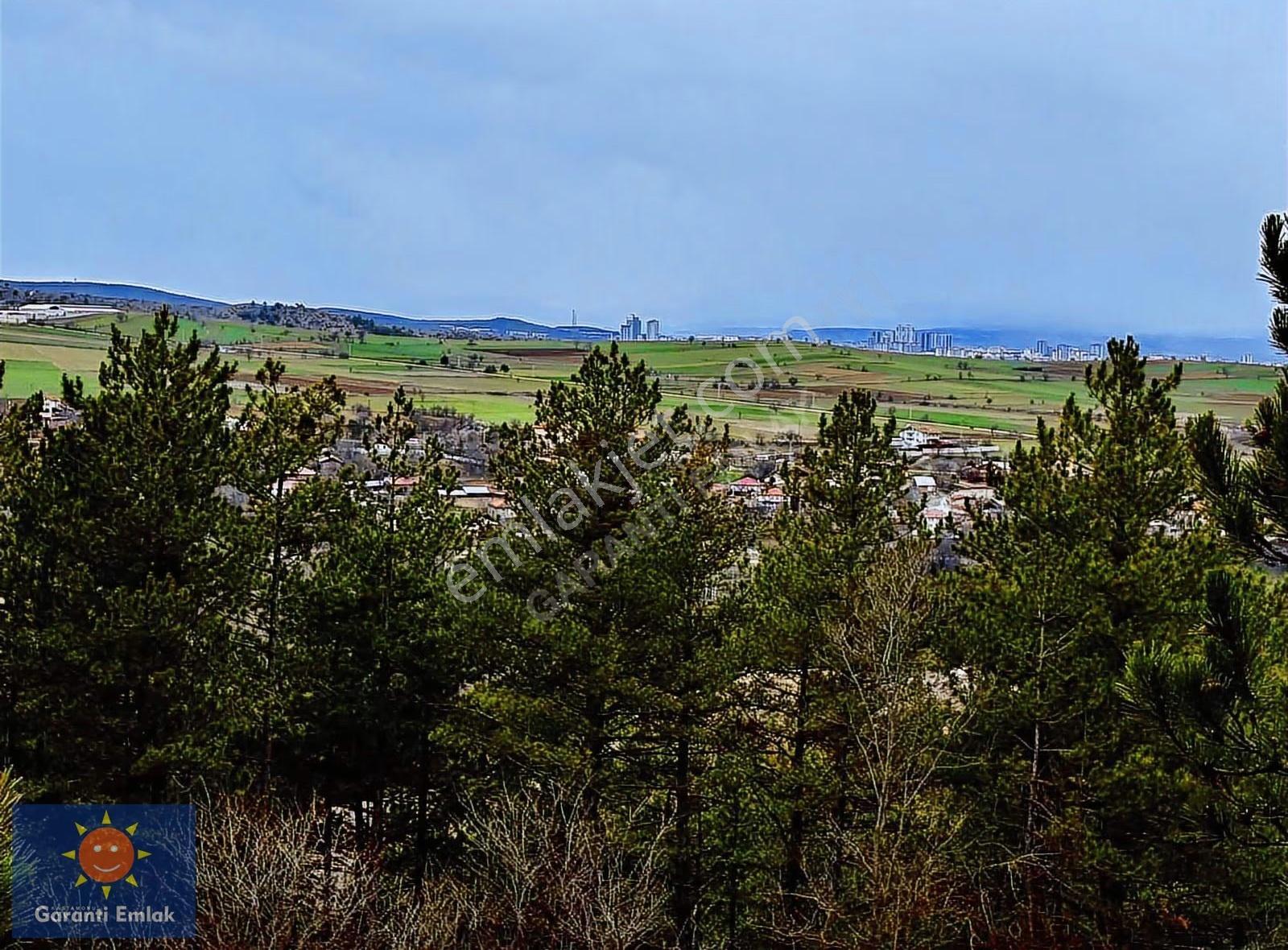 Satılık Saklı Cennet! 7 Dönüm Arazi,3.500 M2'si Özel Çam Ormanlı - Görsel 23