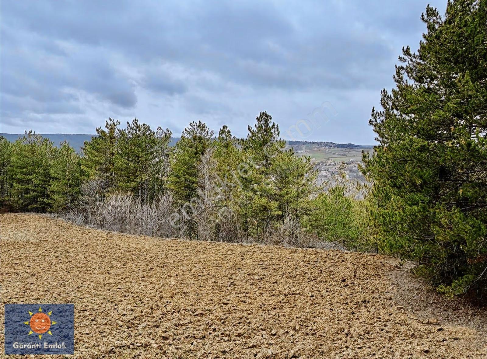 Satılık Saklı Cennet! 7 Dönüm Arazi,3.500 M2'si Özel Çam Ormanlı - Görsel 3