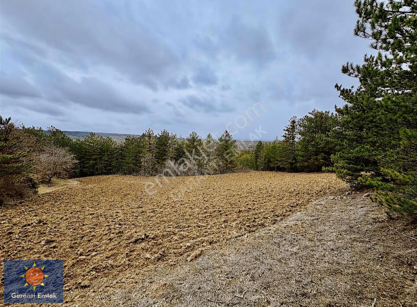 Satılık Saklı Cennet! 7 Dönüm Arazi,3.500 M2'si Özel Çam Ormanlı - Görsel 24