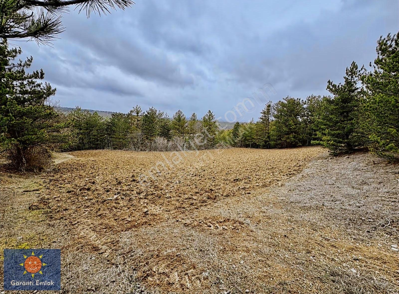 Satılık Saklı Cennet! 7 Dönüm Arazi,3.500 M2'si Özel Çam Ormanlı - Görsel 29