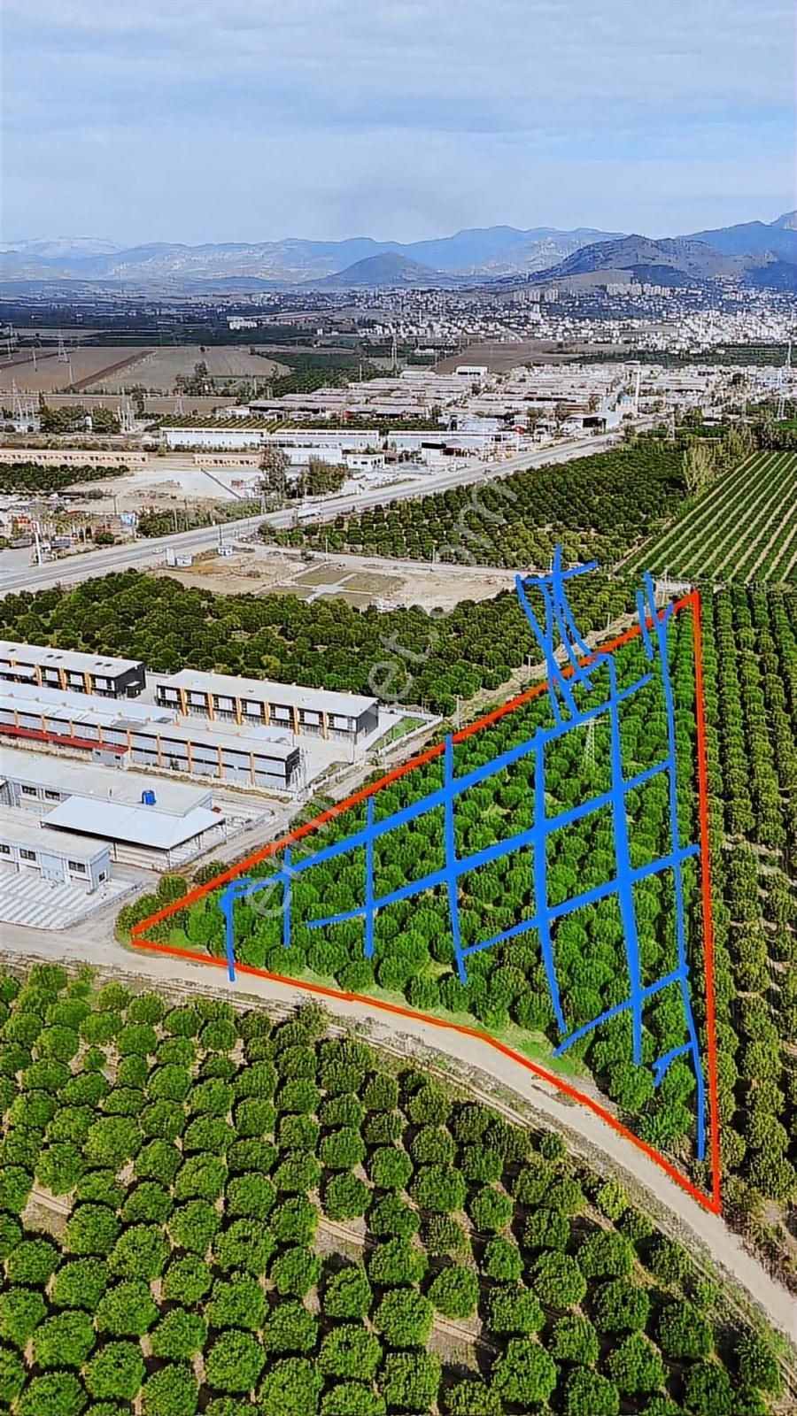 Anadolu Gayrimenkulden Galericiler Sitesi Yanı Narenciye Bahçesi - Görsel 24