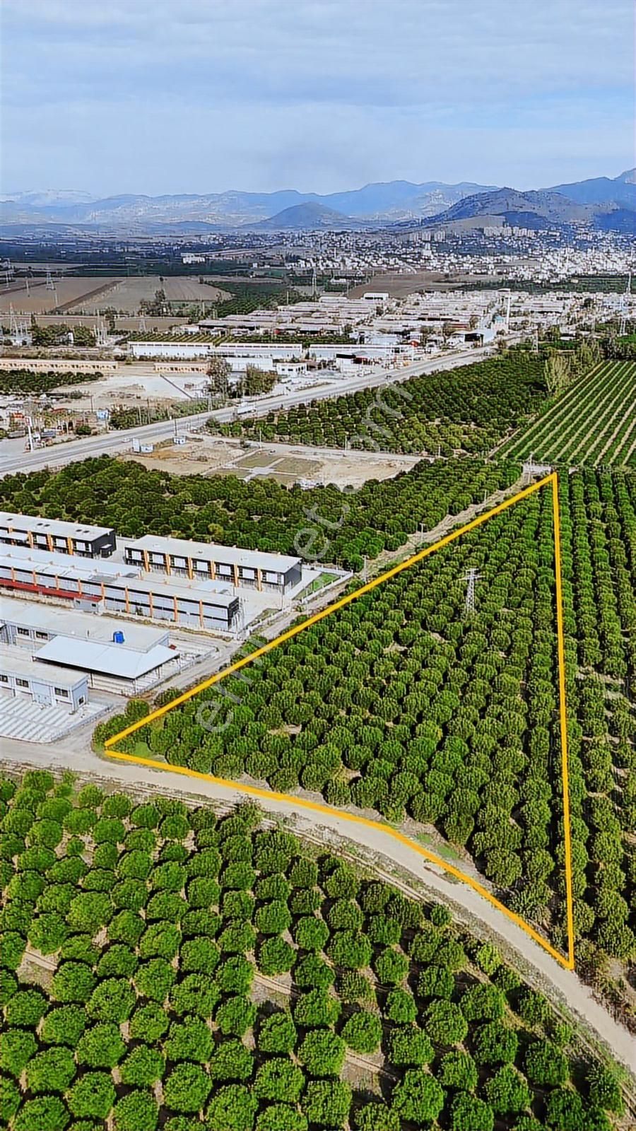 Anadolu Gayrimenkulden Galericiler Sitesi Yanı Narenciye Bahçesi - Görsel 20