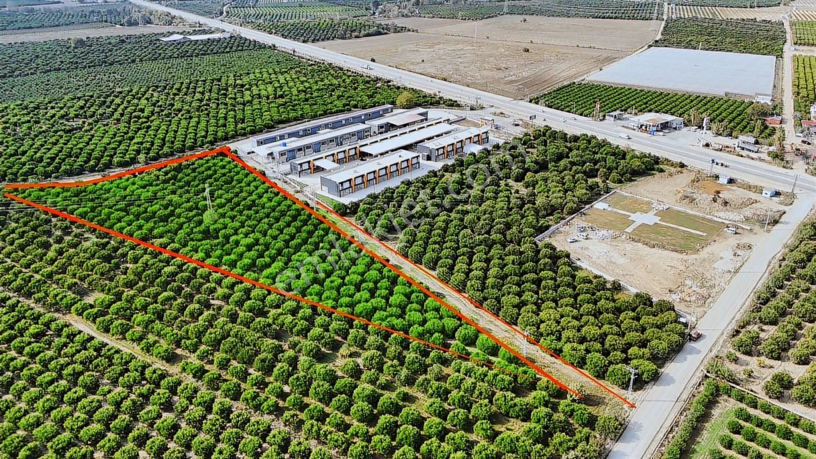 Anadolu Gayrimenkulden Galericiler Sitesi Yanı Narenciye Bahçesi - Görsel 27