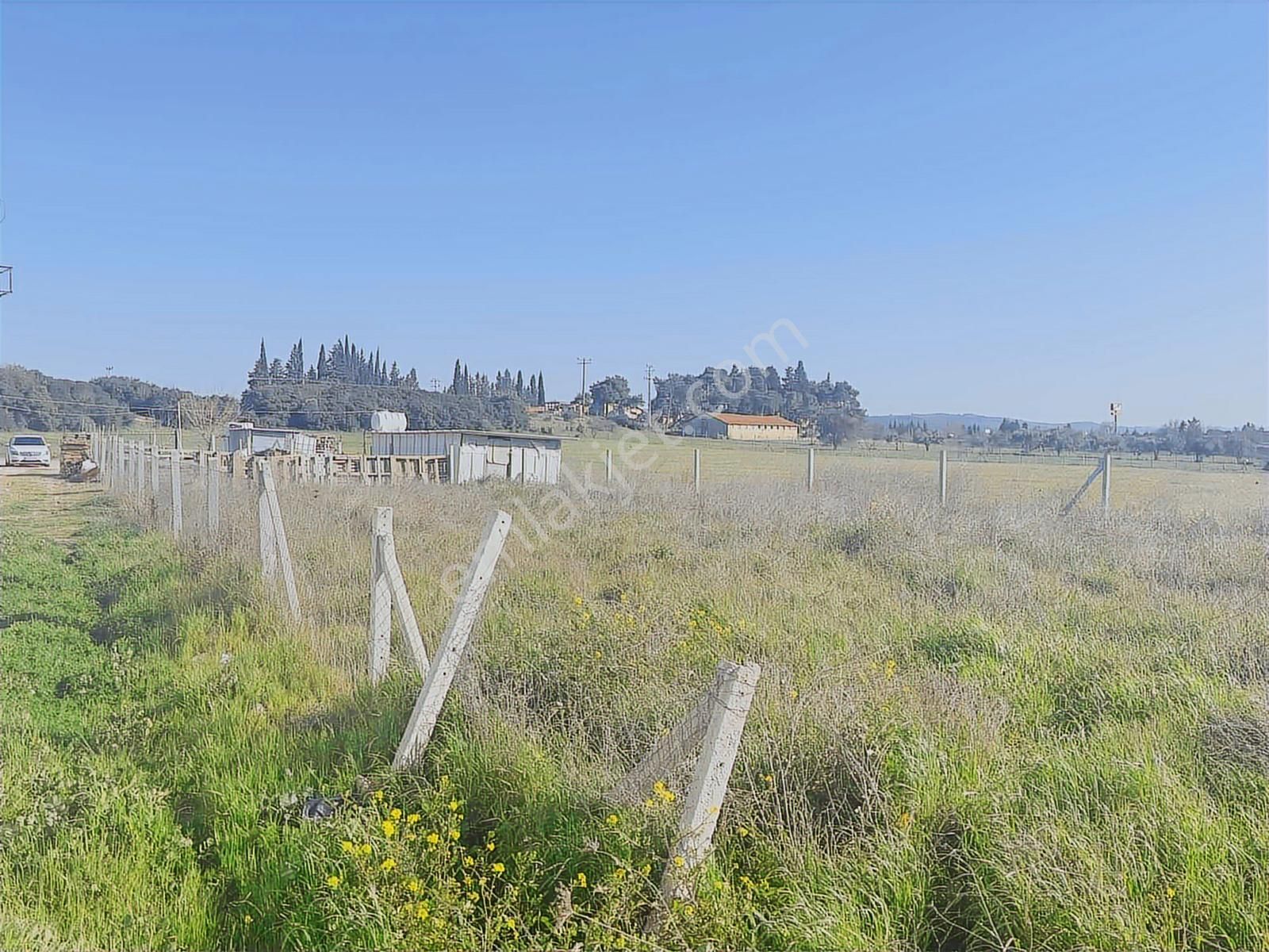 İzmir Menderes Gölcükler 167m2 Satılık Arsa - Görsel 9