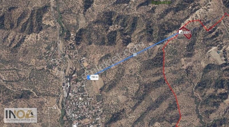 Satılık Zeytinlik Bahçe: 3800m², 30 Ağaç, Yatırım Fırsatı