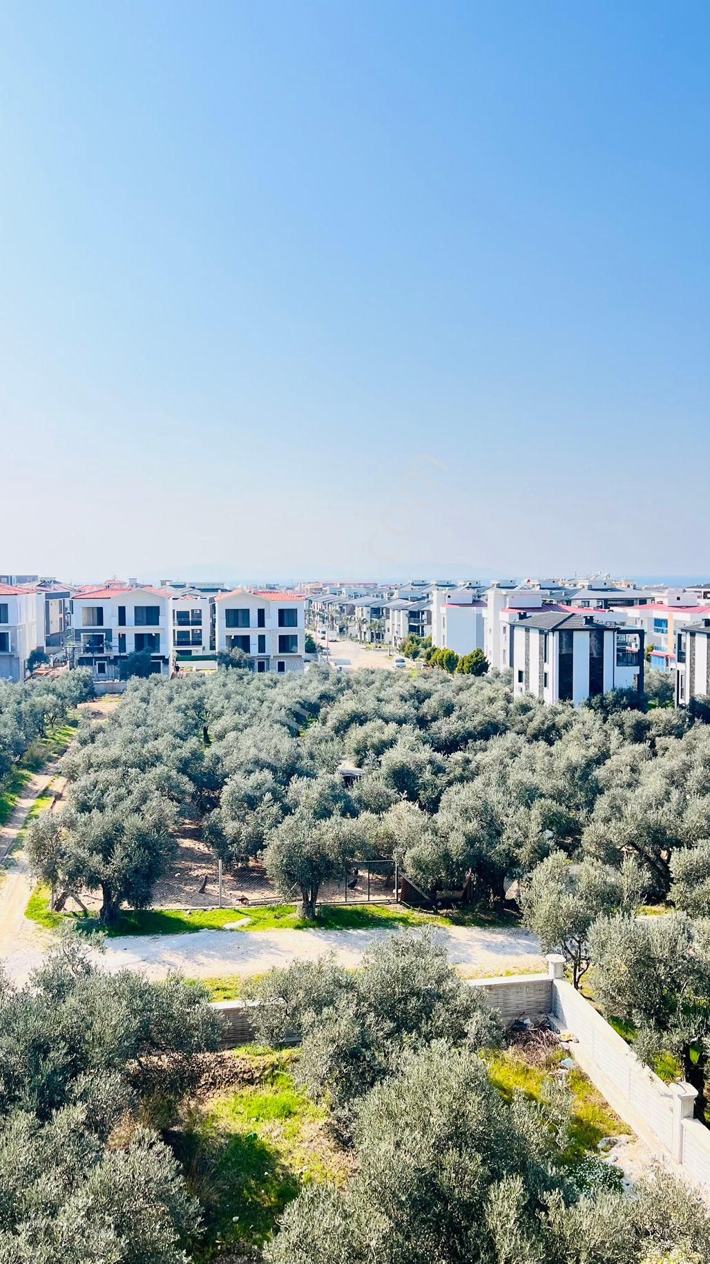 Kuşadası Davutlar Da Satılık 1+1 Daire - Görsel 2