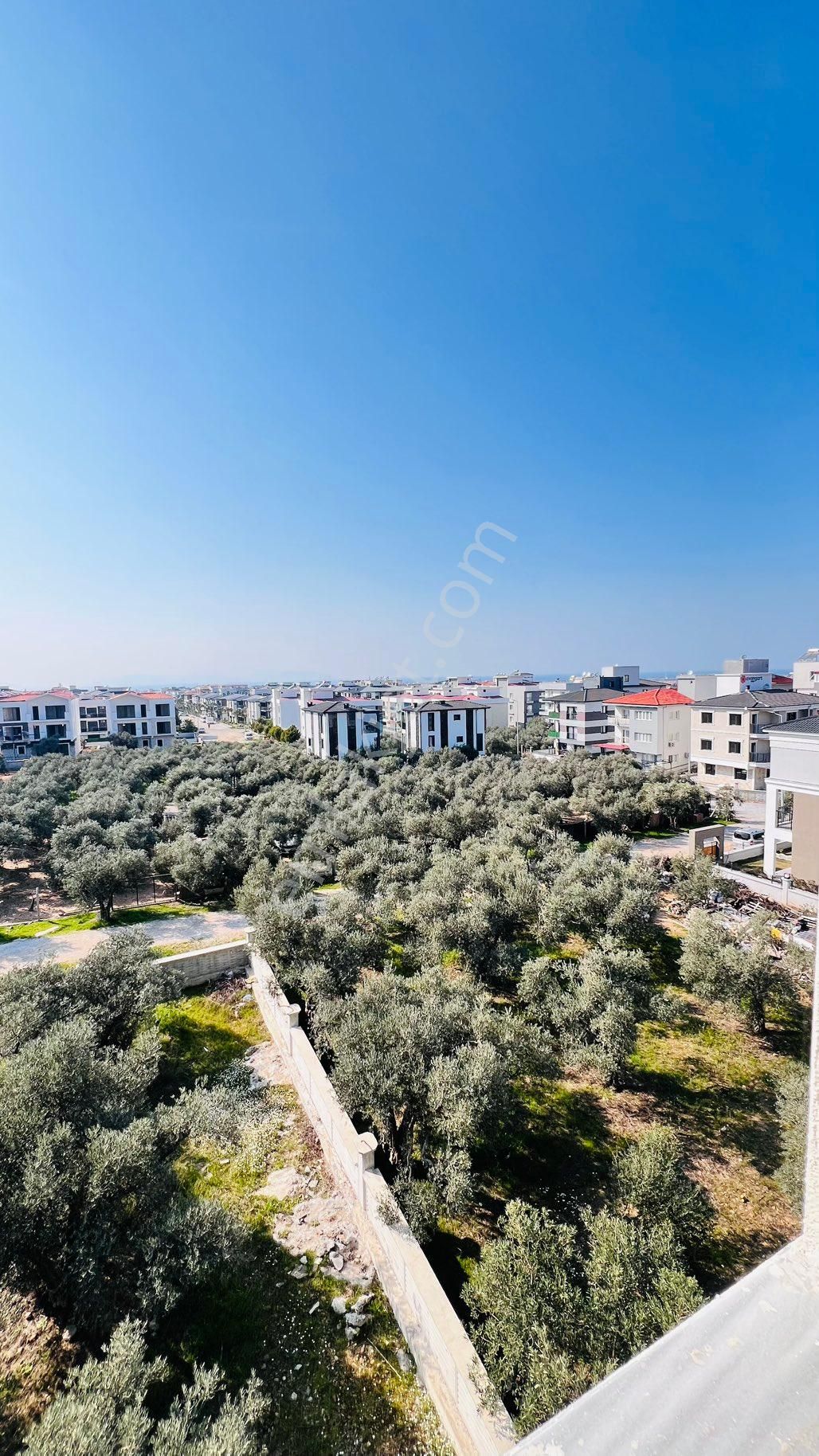 Kuşadası Davutlar Da Satılık 1+1 Daire - Görsel 3