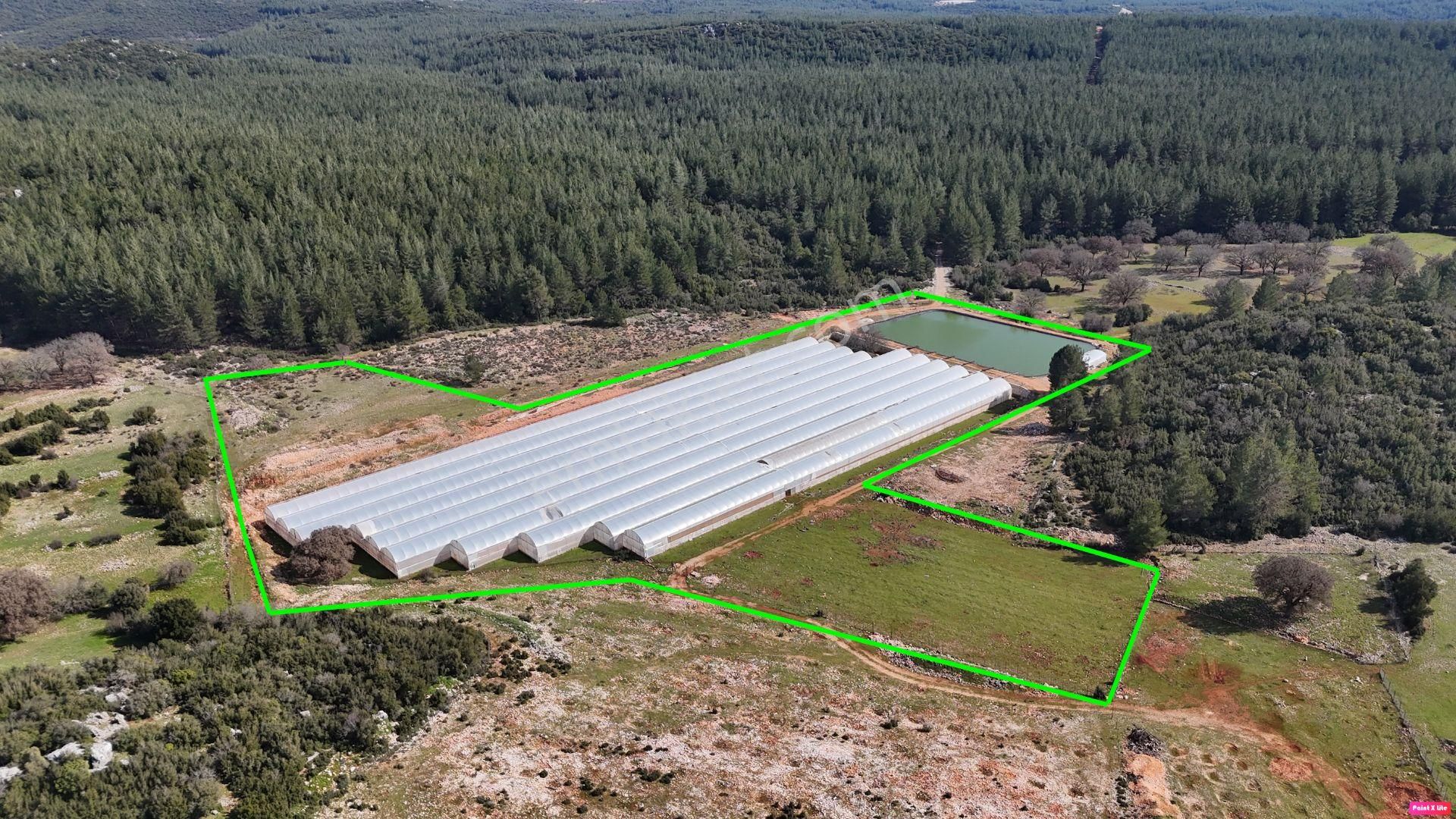 Antalya İli Kaş İlçesi Sarılar Mahallesinde Satılık Projeli Sera - Görsel 8